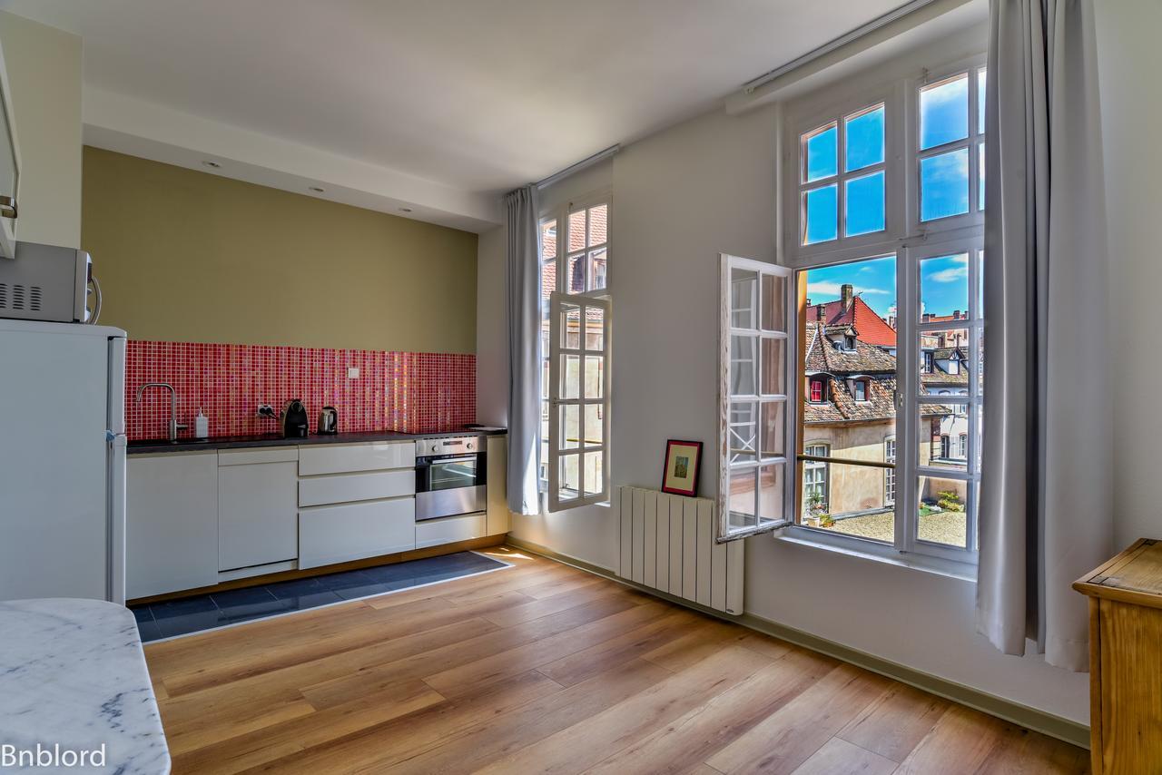 Bel Appartement Hypercentre De Strasbourg Kültér fotó